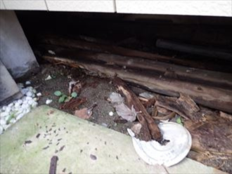 住宅の白アリ被害